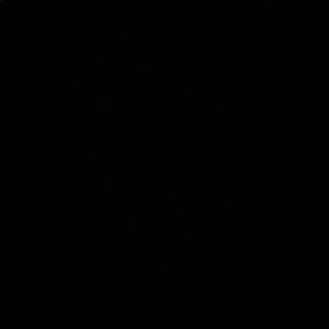 Meet your Posher, Isabel